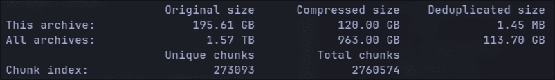 Borg backup stats
